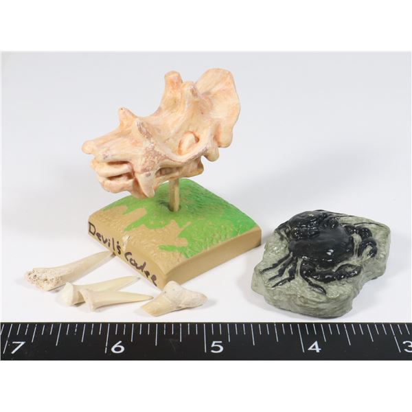 DINOCERATA PLASTIC SKULL COMES WITH REMOVABLE