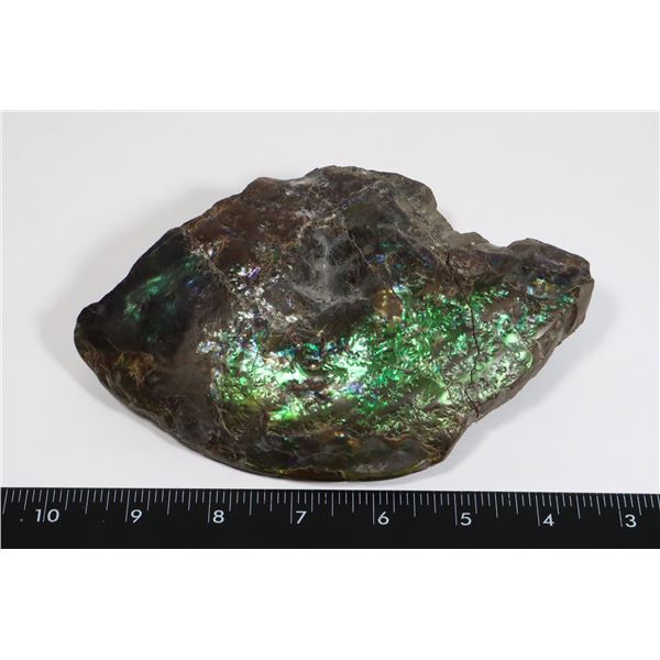 GIANT 6.5  X 4.25  AMMOLITE GEM STONE. HAND POLISHED BOTH SIDES