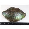 Image 3 : GIANT 6.5" X 4.25" AMMOLITE GEM STONE. HAND POLISHED BOTH SIDES
