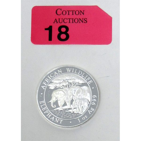 1 Oz .999 Silver 2013 African Wildlife Elephant Coin 