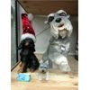 Image 1 : 3 Assorted Dog Statues & Figurines 