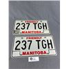 Image 1 : Vintage 1980 Friendly Manitoba License Plate Pair