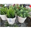 Image 2 : Potted Silk Succulents - 9