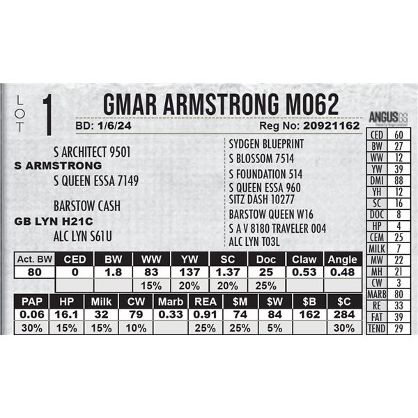 GMAR Armstrong M062