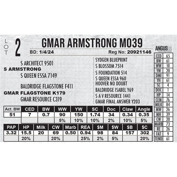 GMAR Armstrong M039