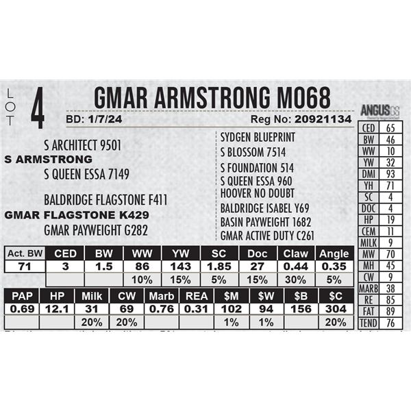 GMAR Armstrong M068