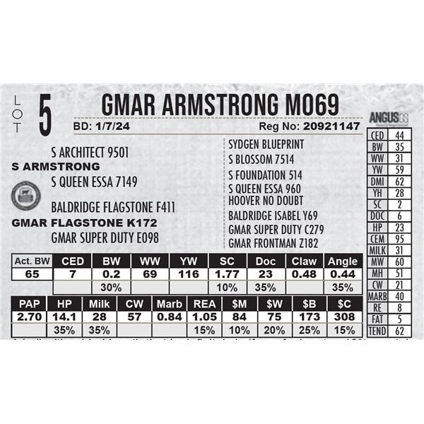 GMAR Armstrong M069
