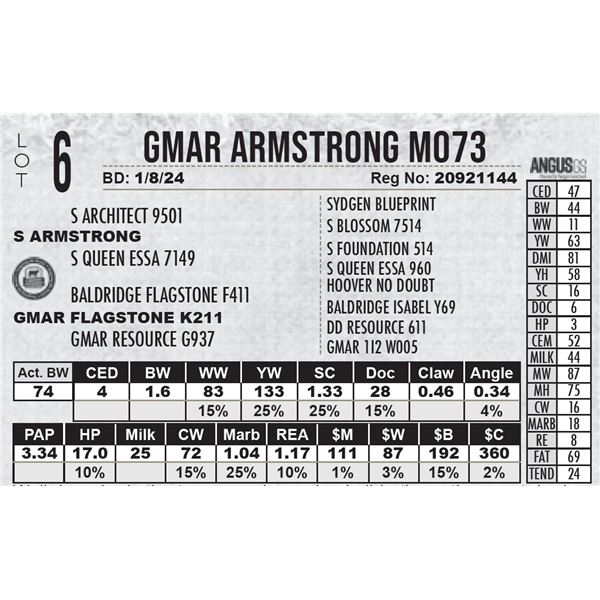 GMAR Armstrong M073