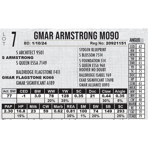 GMAR Armstrong M090