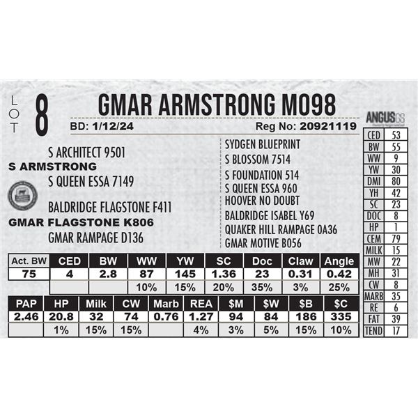 GMAR Armstrong M098