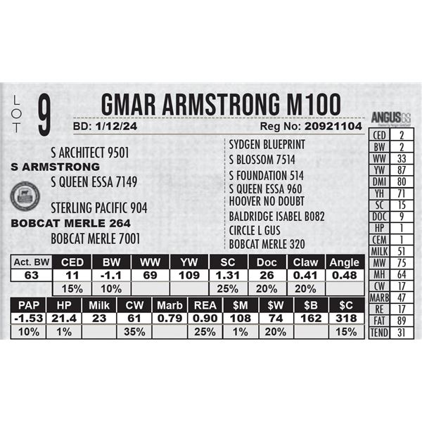 GMAR Armstrong M100