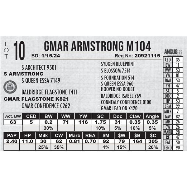 GMAR Armstrong M104