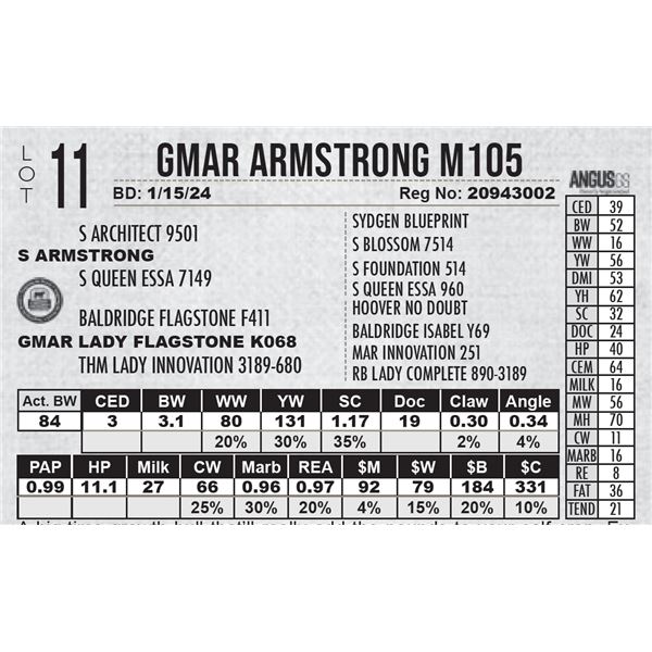 GMAR Armstrong M105