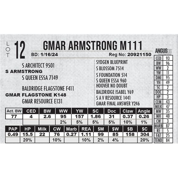 GMAR Armstrong M111