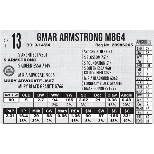 GMAR Armstrong M864