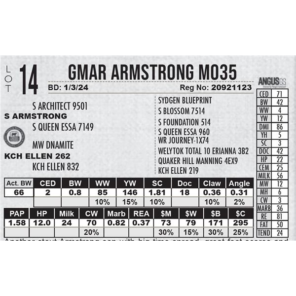 GMAR Armstrong M035