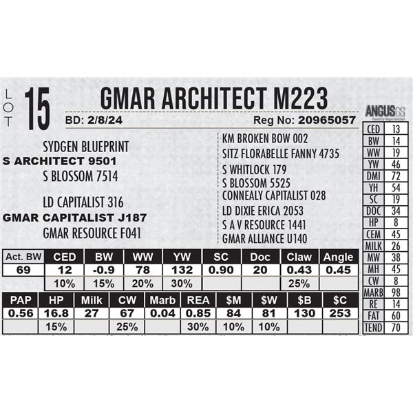 GMAR Architect M223