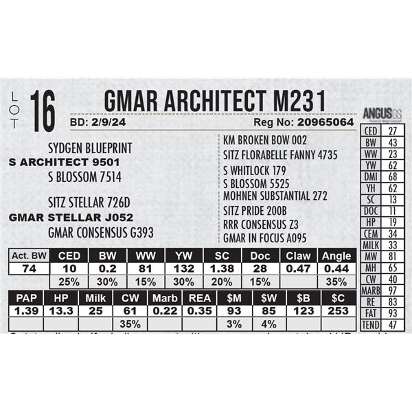 GMAR Architect M231