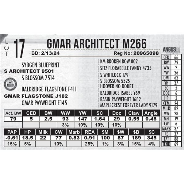 GMAR Architect M266
