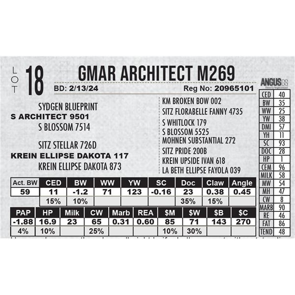 GMAR Architect M269