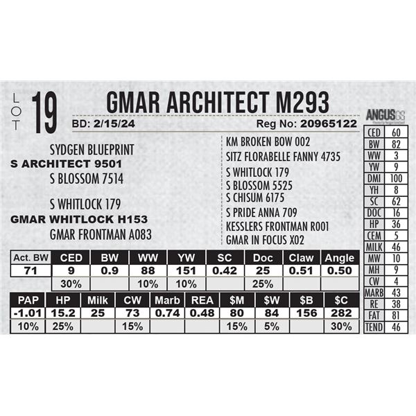 GMAR Architect M293