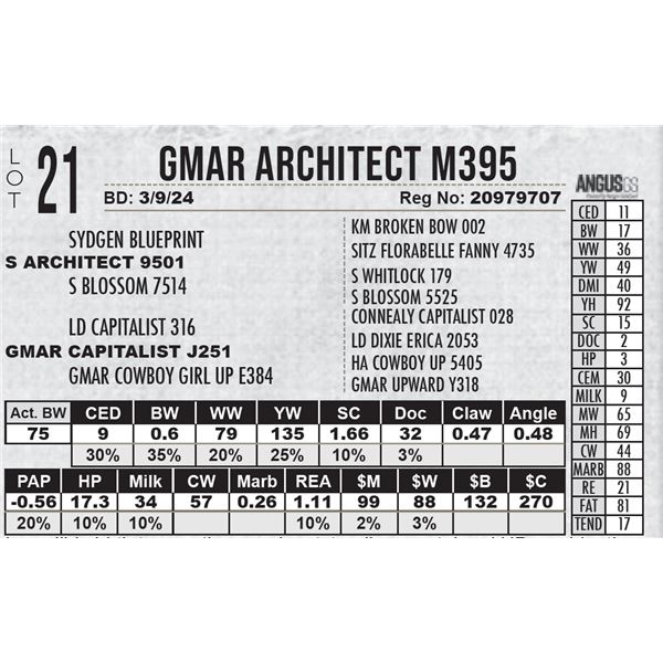 GMAR Architect M395