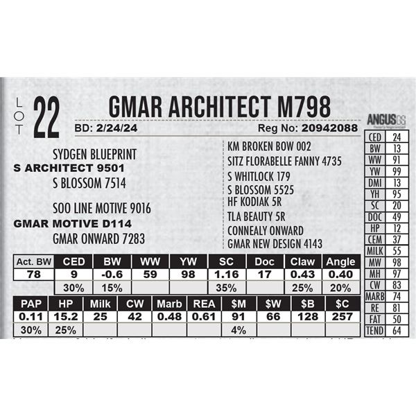 GMAR Architect M798