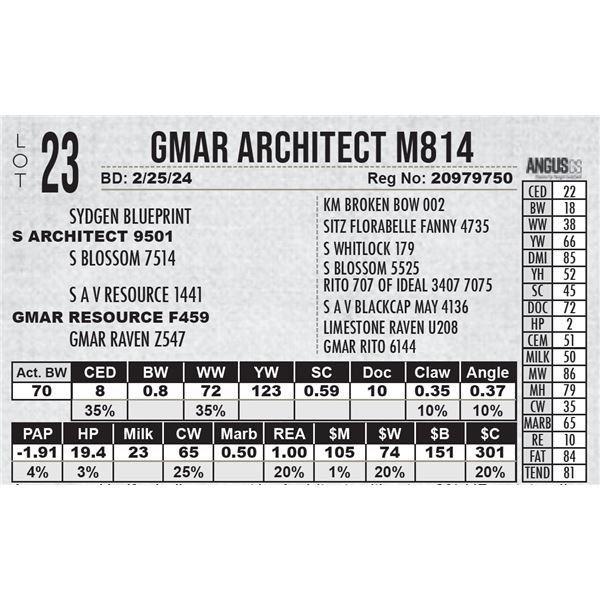 GMAR Architect M814