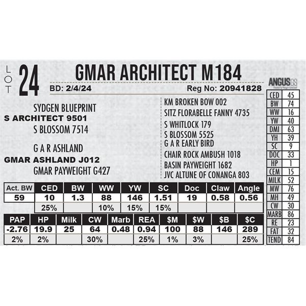 GMAR Architect M184