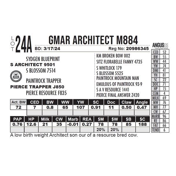 GMAR Architect M884