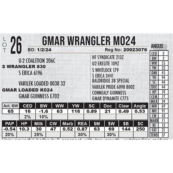 GMAR Wrangler M024