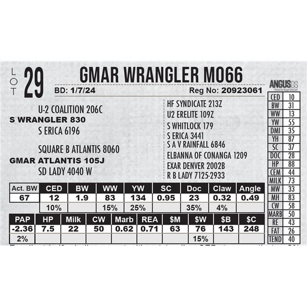 GMAR Wrangler M066