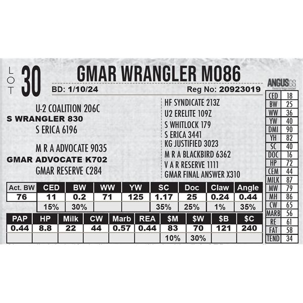 GMAR Wrangler M086