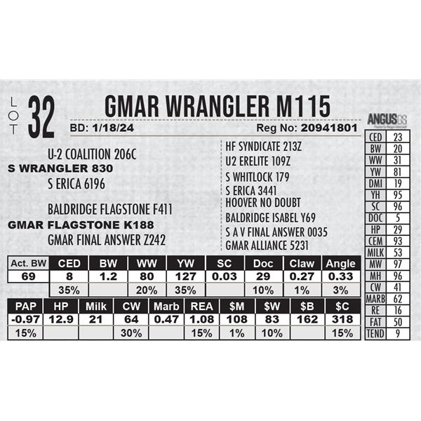 GMAR Wrangler M115