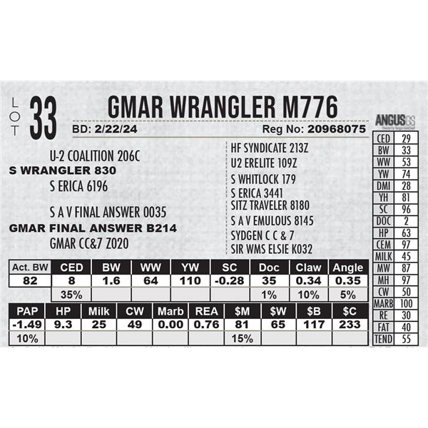 GMAR Wrangler M776