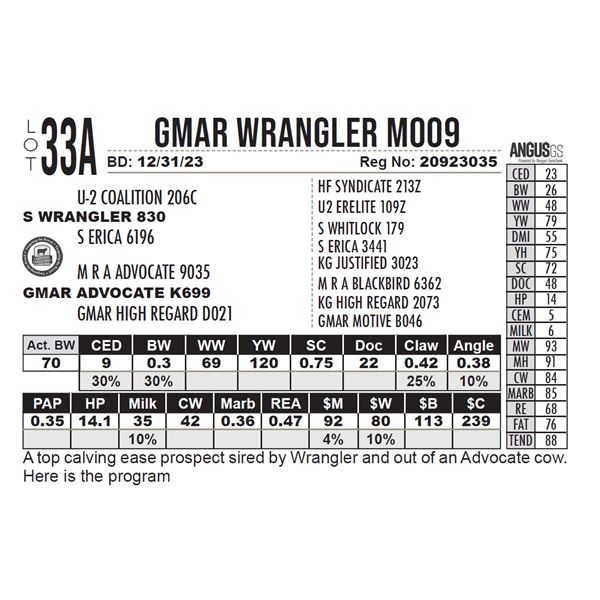GMAR Wrangler M009
