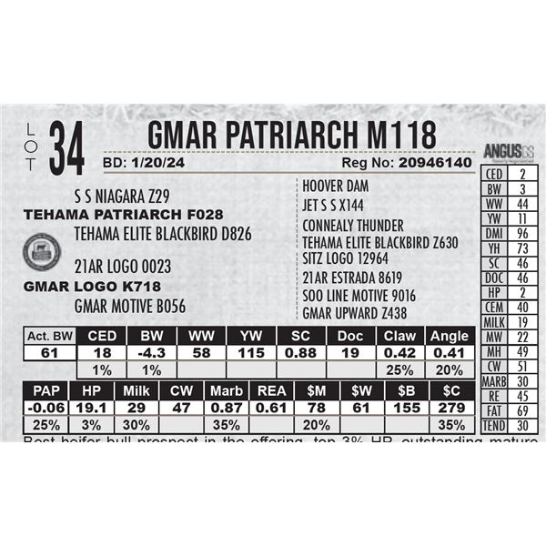 GMAR Patriarch M118