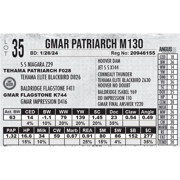 GMAR Patriarch M130