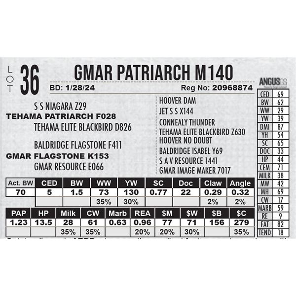 GMAR Patriarch M140