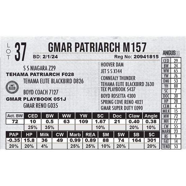 GMAR Patriarch M157