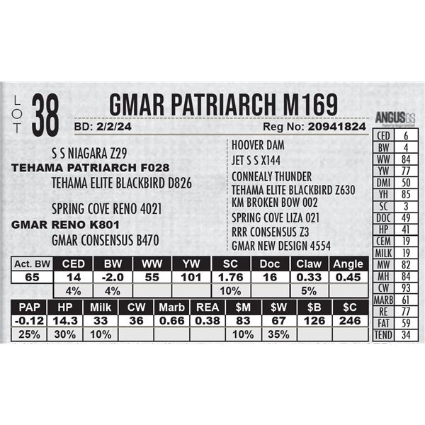 GMAR Patriarch M169