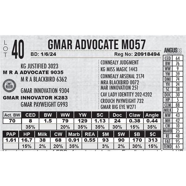 GMAR Advocate M057