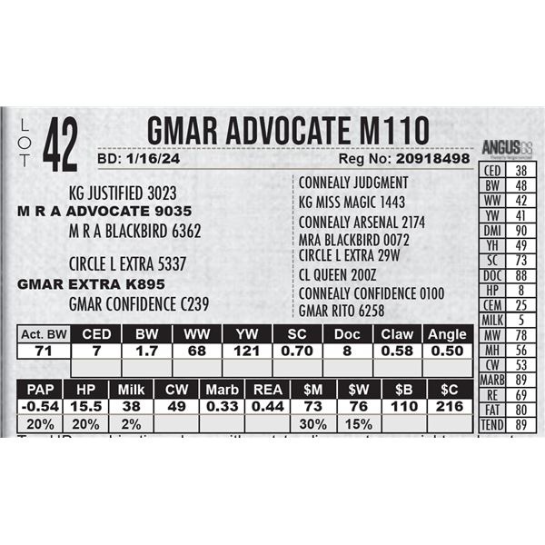 GMAR Advocate M110