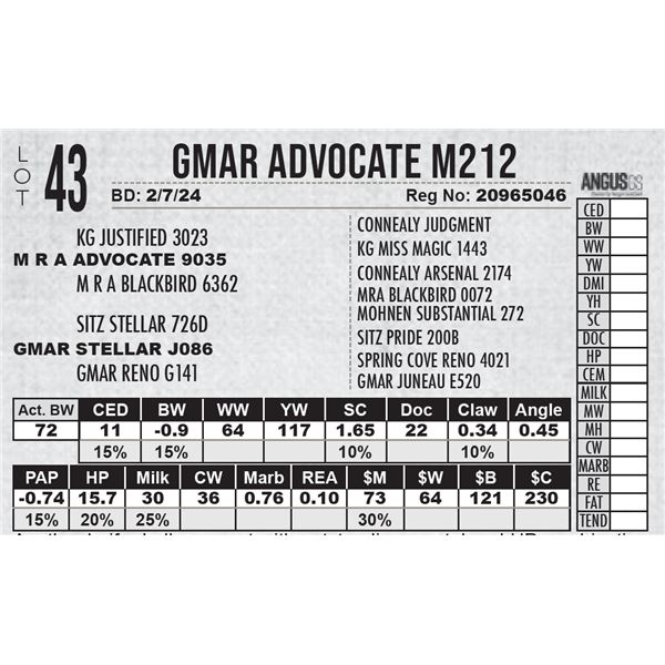 GMAR Advocate M212