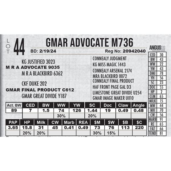 GMAR Advocate M736