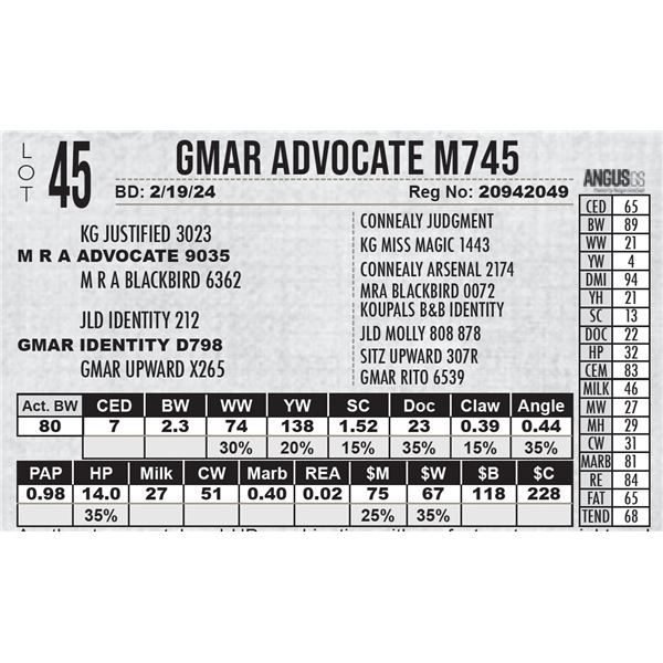 GMAR Advocate M745