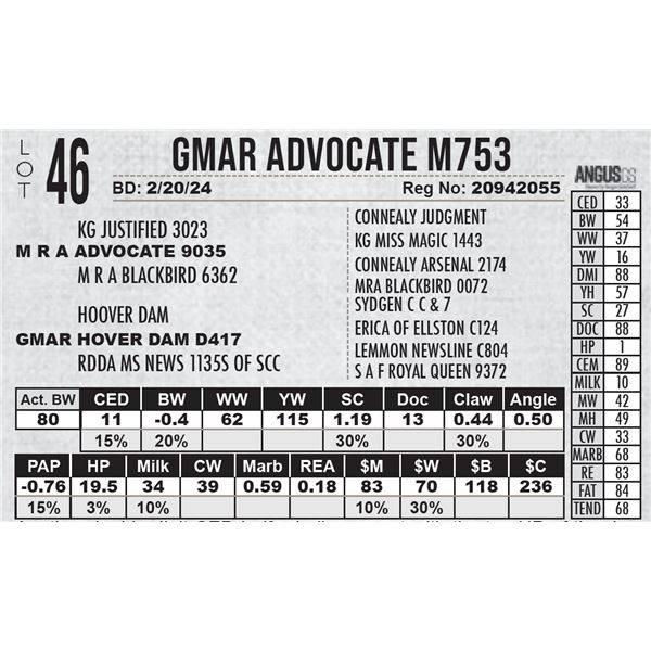 GMAR Advocate M753
