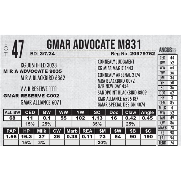 GMAR Advocate M831