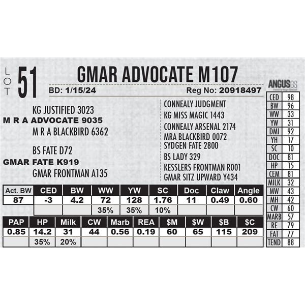 GMAR Advocate M107