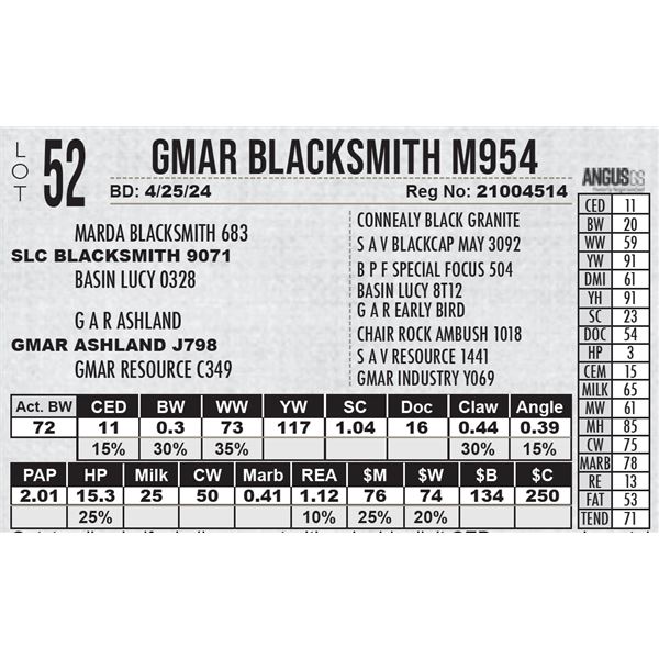GMAR Blacksmith M954